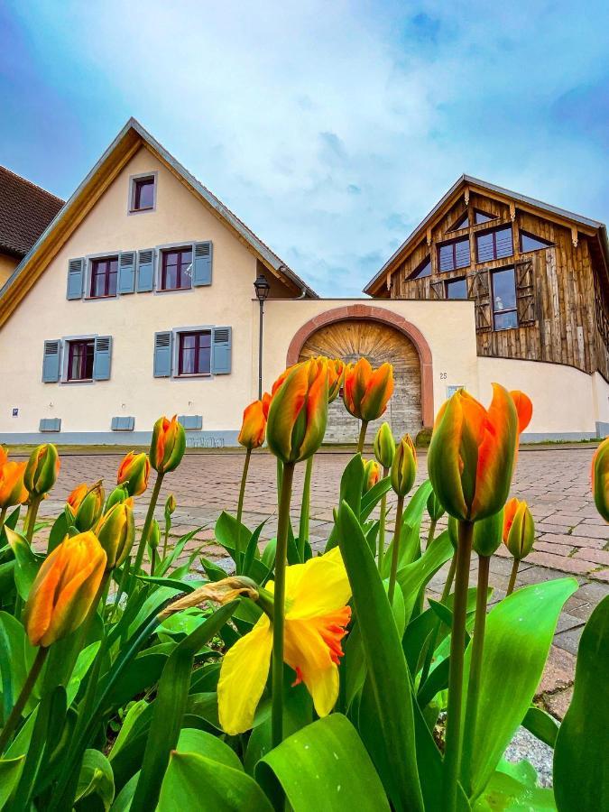 Storchenhof تينْيِنغن المظهر الخارجي الصورة